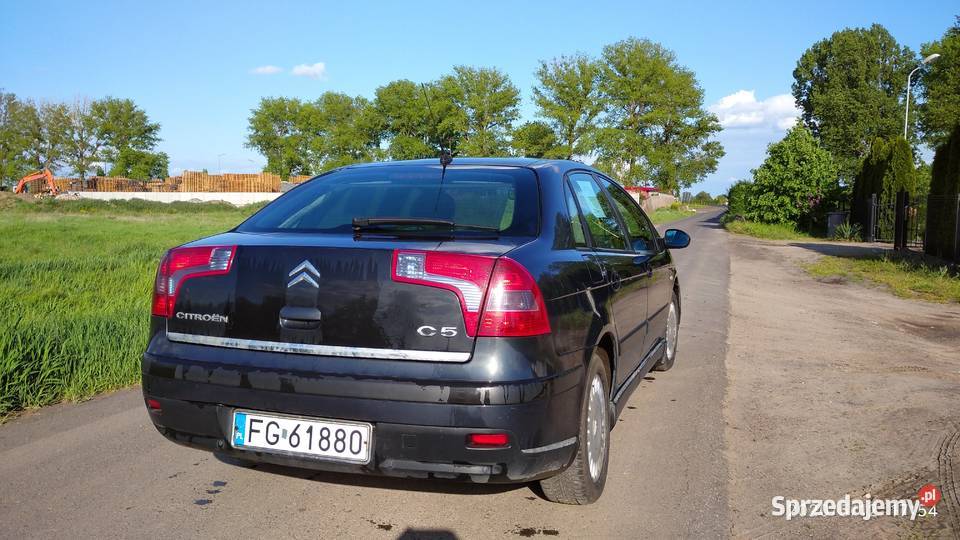 Sprzedam Citroen C5 FL 2004 16 HDI CD lubuskie Gorzów Wielkopolski