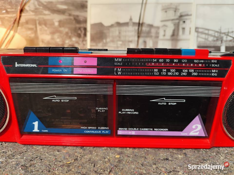 archaiczny jamnik International AK21 zachodniopomorskie Grabowo