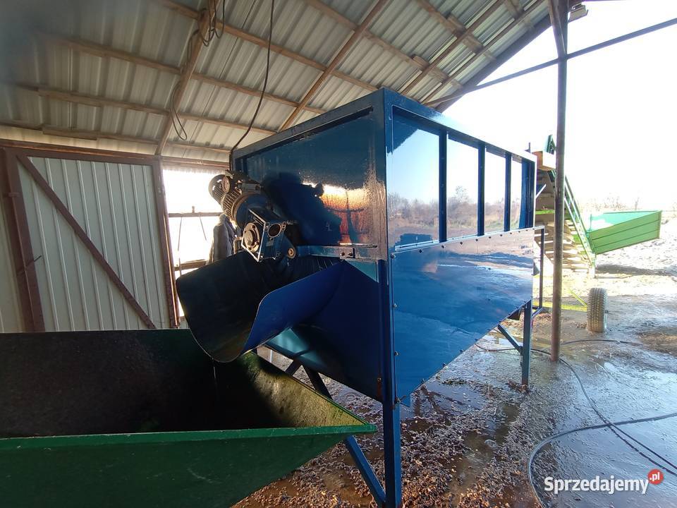 Czyszczarka obrabrabiarka do korzeni selera Goszczanów