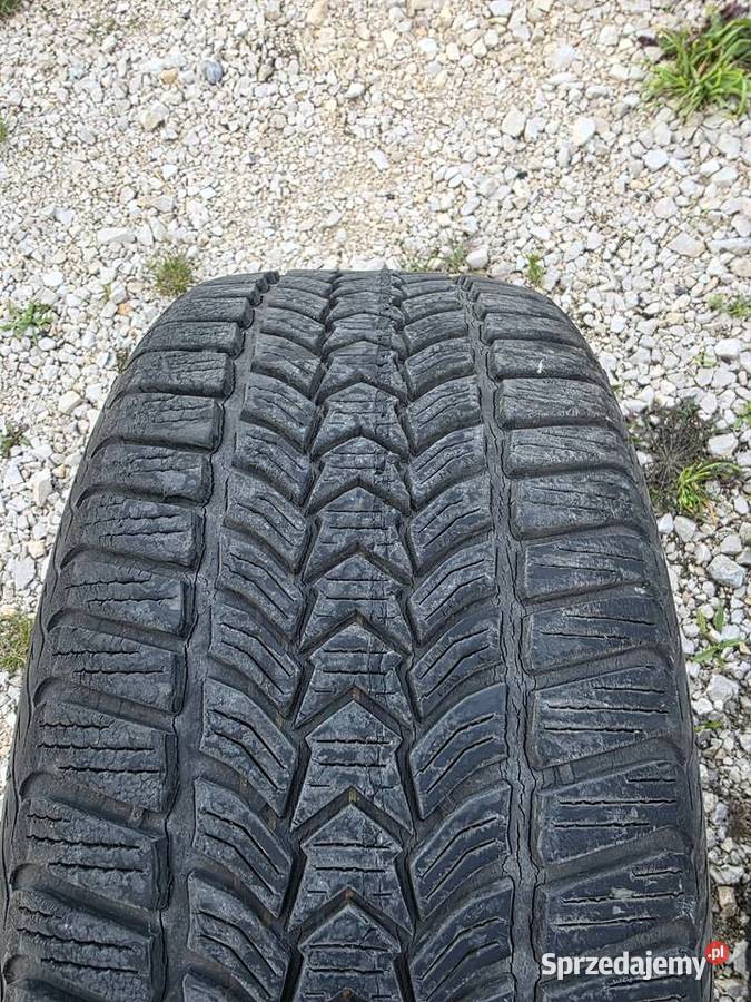 Dębica frightened hp2 22545r17 Końskie