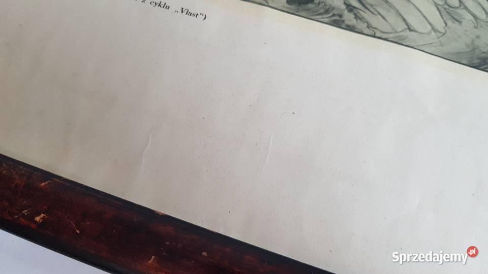 Stara grafika Mikolas Ales Trutnov Vlast śląskie Dąbrowa Górnicza