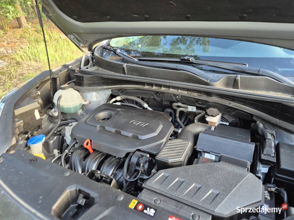 Sprzedam KIA SPORTAGE 24 GDI 184 2019r Sportage Leśniewo Dolne