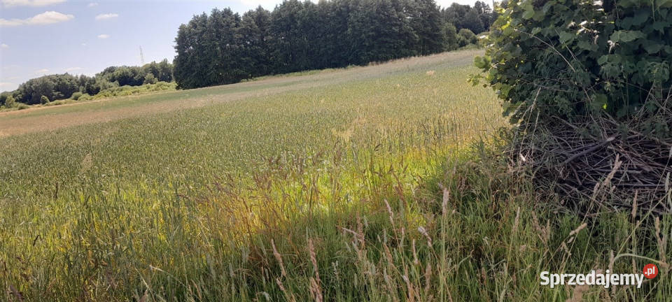 Leżajsk działka 5361 ar Sprzedam