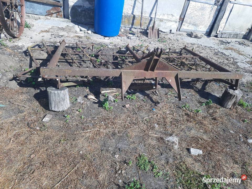 Brony trójki polowe Grabów nad Pilicą