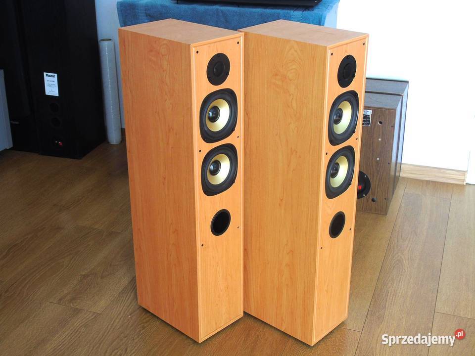 Kolumny stereo DK Ls190 sprawne i ładne DOSTAWA Słuchawki i głośniki Jasło