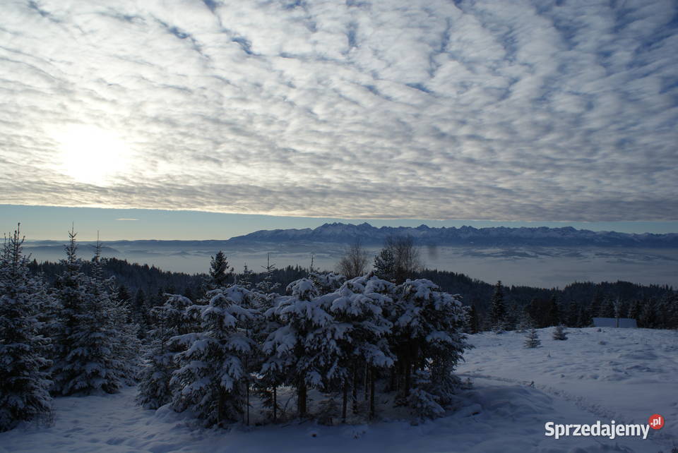 Góralska chata wysoko w górach Waksmund