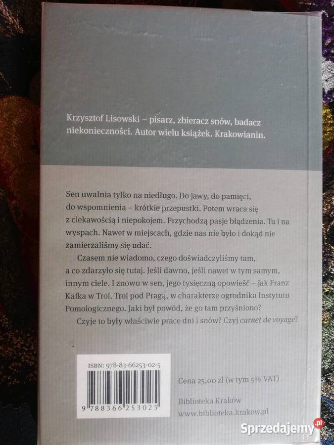 Krzysztof Lisowski Zaginiona we śnie Kraków