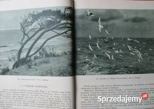 i ich pierwotne fragmenty przyroda krajobraz Poradniki, albumy i reportaże sprzedam