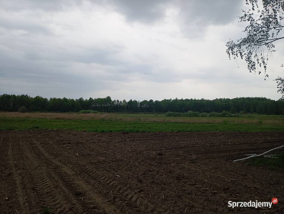 Gospodarstwo rolne działka agroturystyka