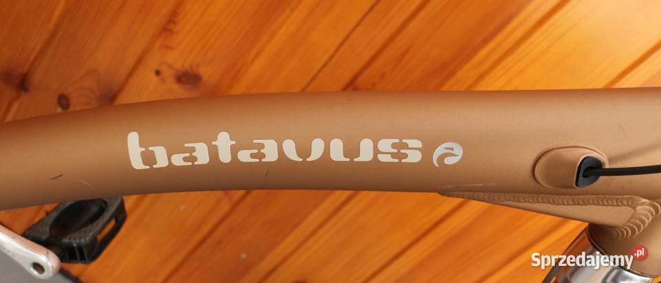 Rower damski Batavus Mambo D 61 I inne rowery Milanówek