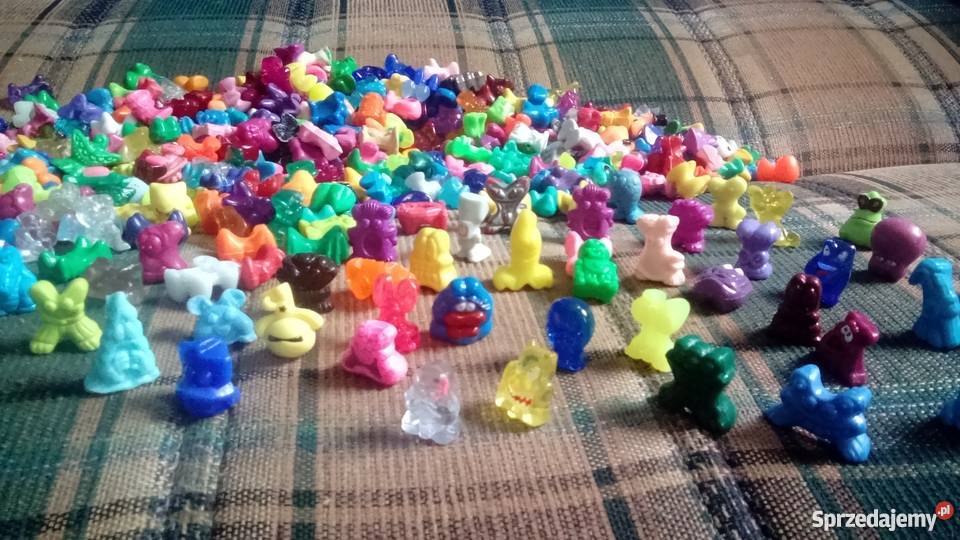 dunkin shockys Gorzów Wielkopolski