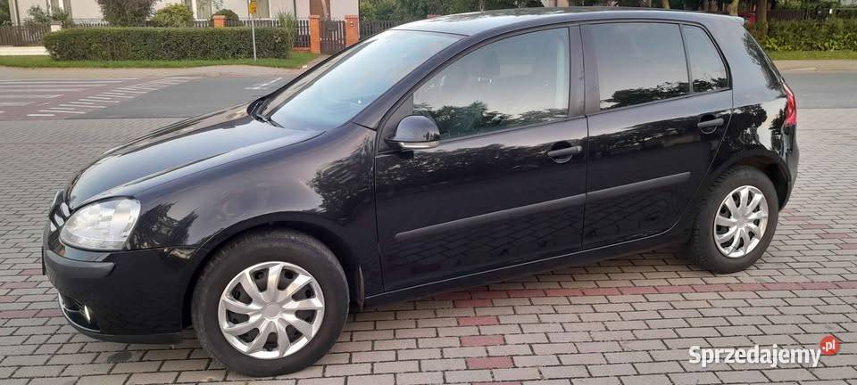 Volkswagen Golf V 16 Benzynaklima Gostynin