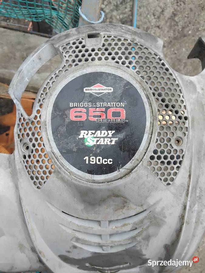 Sprzedam silnik BS 650 ready start 190cc Książki
