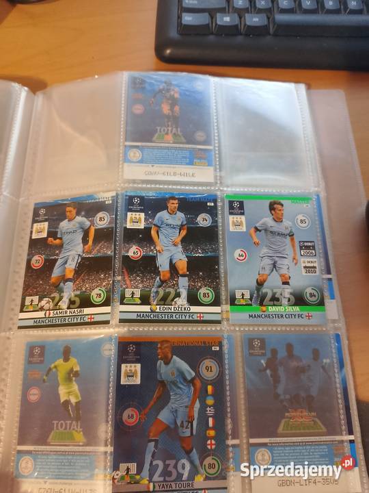 Album z kartami panini Warszawa sprzedam