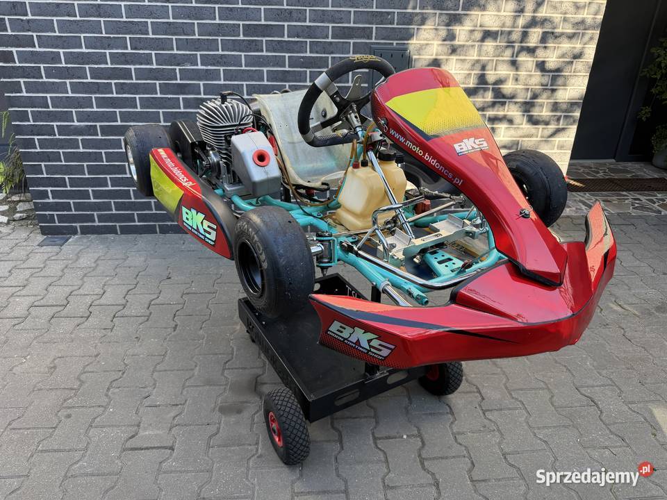 Gokart IPK Praga Monster EVO 2 Vortex Baby 60cc sprzedam