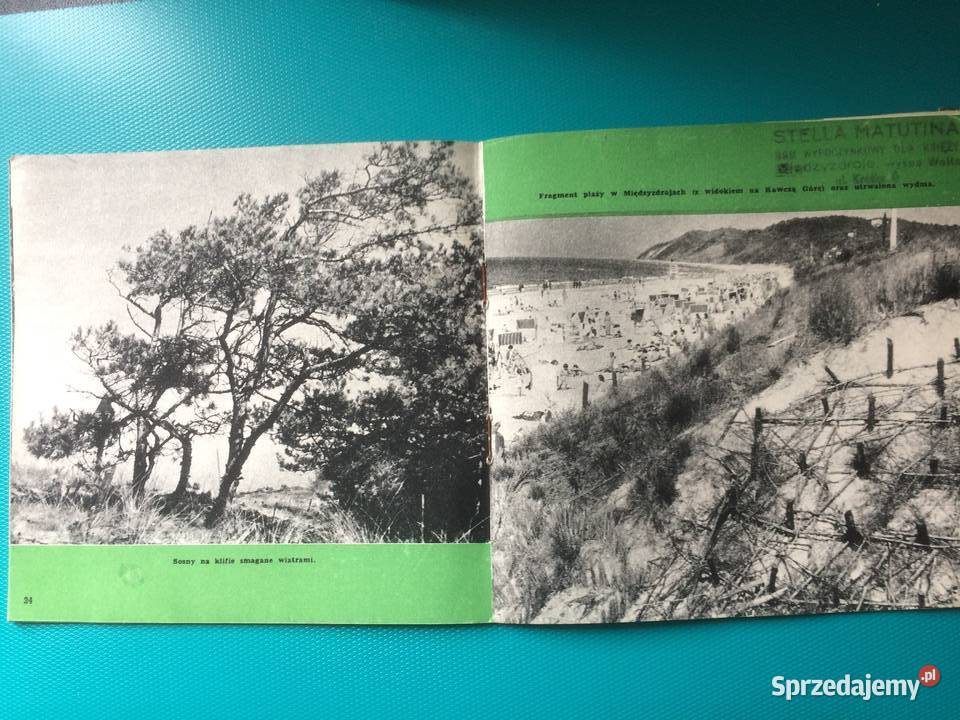 3479 Woliński Park Narodowy Szczecin