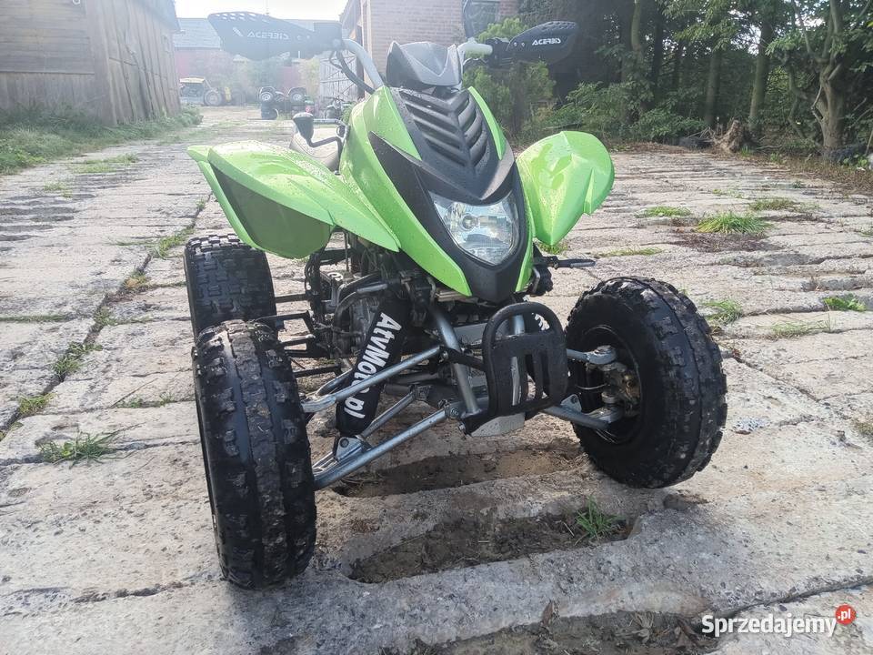 dinli 300 homologacja rejstrowany transport
