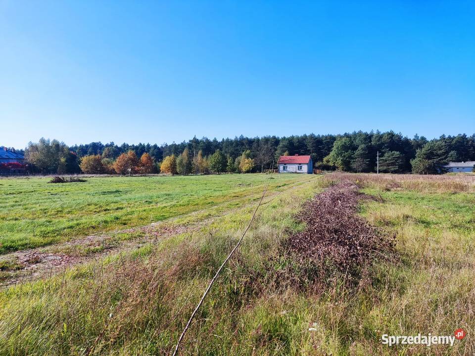 2 działki budowlane 2x 800 m2 Grębiszew Mińsk mazowieckie