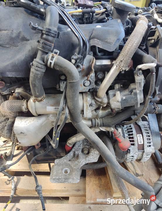 SILNIK LAND ROVER DISCOVERY III RANGE ROVER 27 Radom sprzedam