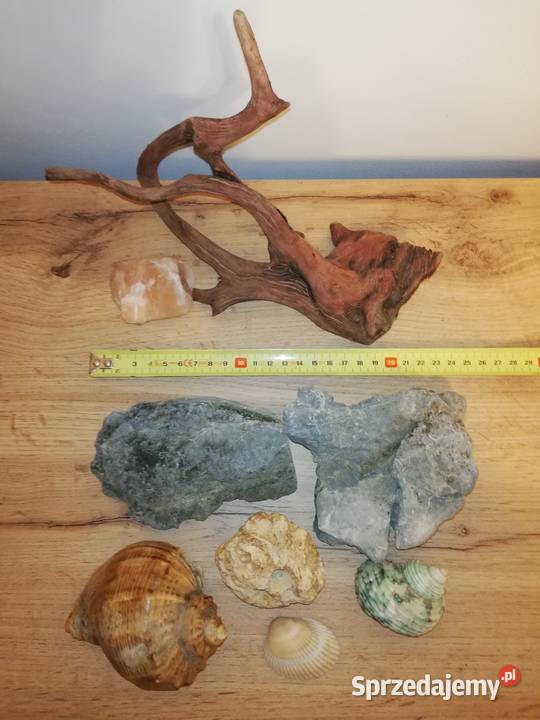 Dekoracje naturalne do akwarium Tanio Warszawa