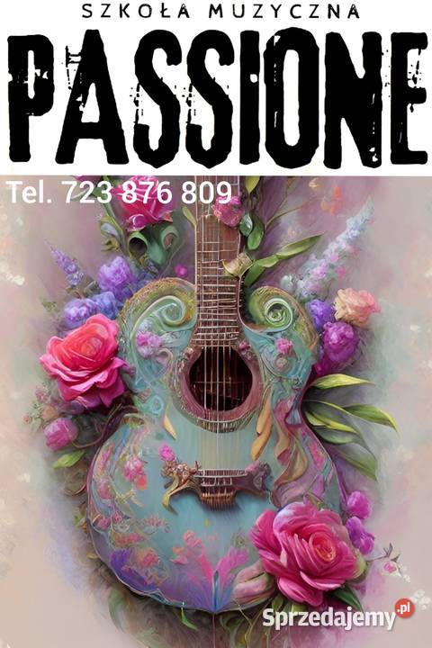 Skrzypce gitara pianino perkusja wookal lekcje Strzyżów