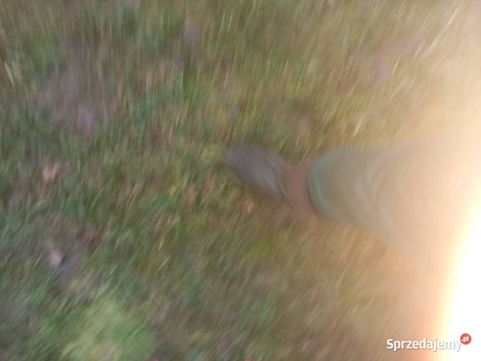 Sprzedam pole orne powierzchnia 269 08455 Kletnia sprzedam
