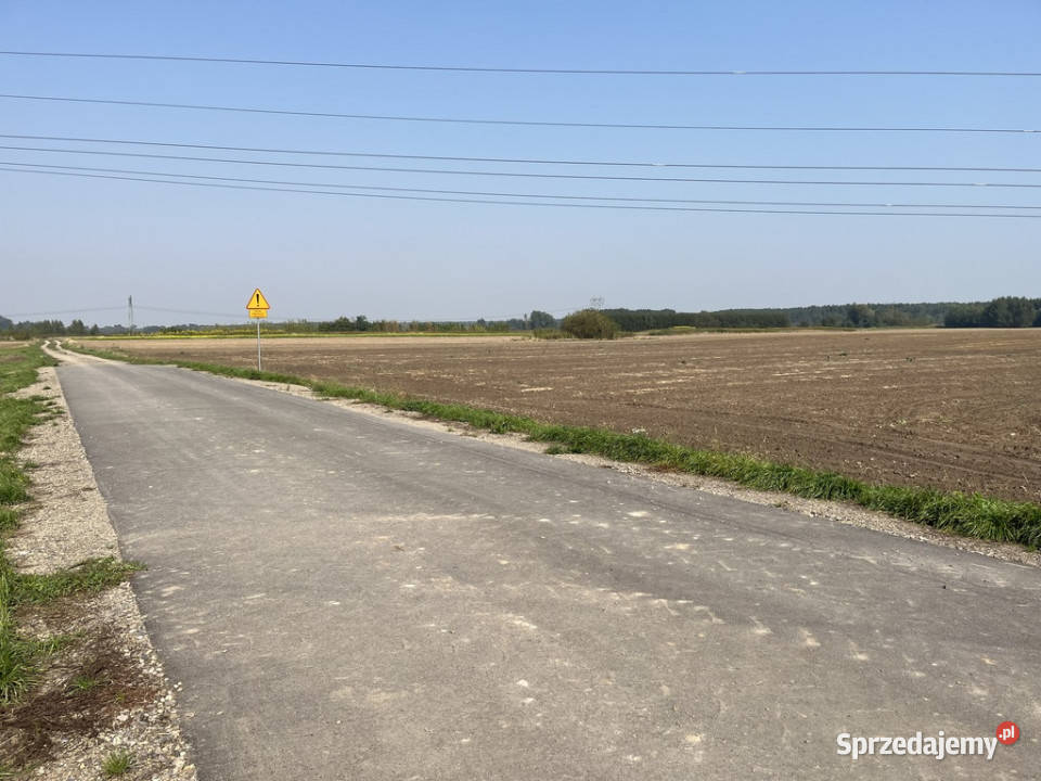 Działka rolnobudowlana 031 ha w Gołębiu kPuław Gołąb