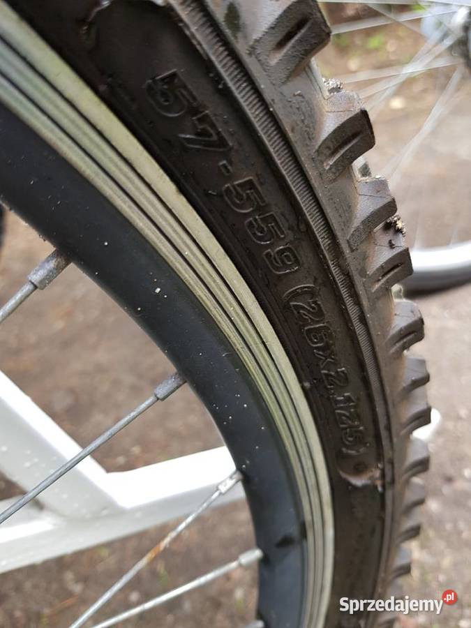 EkskluzywnyNowyDo pracyrekreacjiRower riksza Barlinek sprzedam