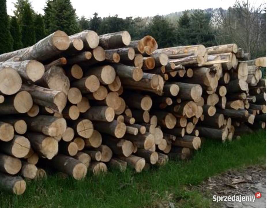 Drzewo na opał buk metrówki duża ilość Szczawa