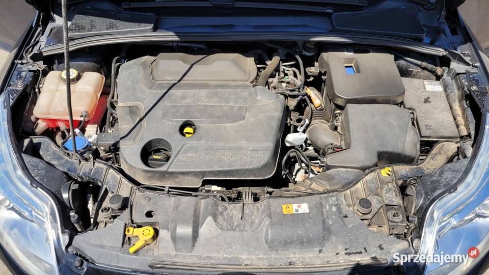 Ford Focus Mk3 Kombi 20 TDCi 163 Titanium nieuszkodzony Kępa