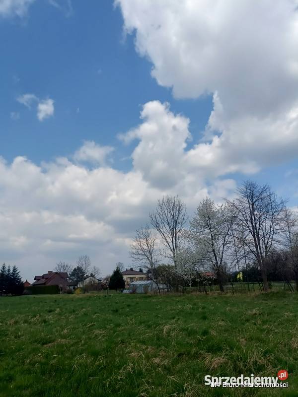 DWIE SŁONECZNE DZIAŁKI W PUSTYNACH Krosno sprzedam