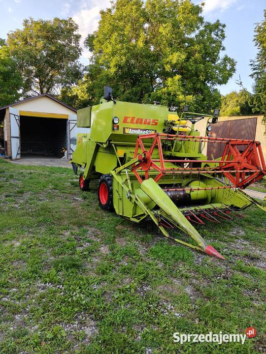 Claas stanie Claas Zbożowe Kazimierza Wielka
