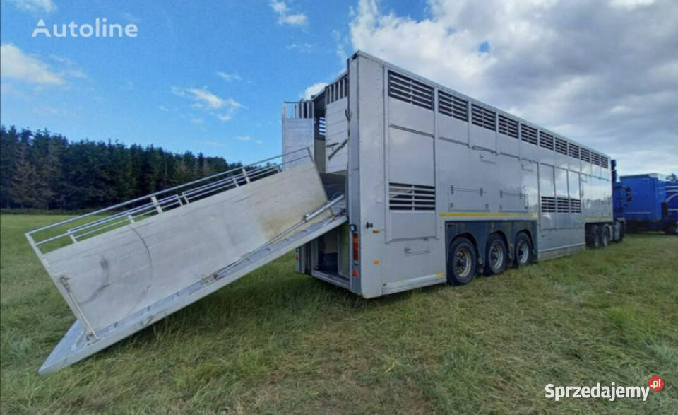 do przewozu zwierząt GrayAdams GADD3 Gray Adams Pozostałe Łaziska Górne