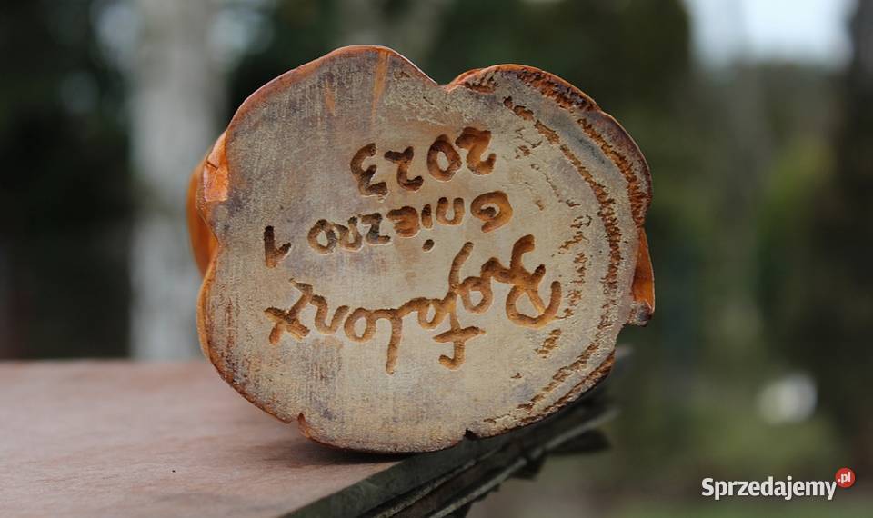 Jezus frasobliwy rzeźba ludowa wielkopolskie