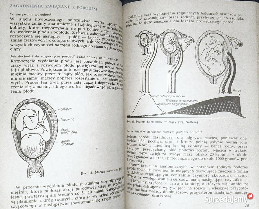 Kobieta mężczyzna dziecko Zbigniew Sternadl Chełm