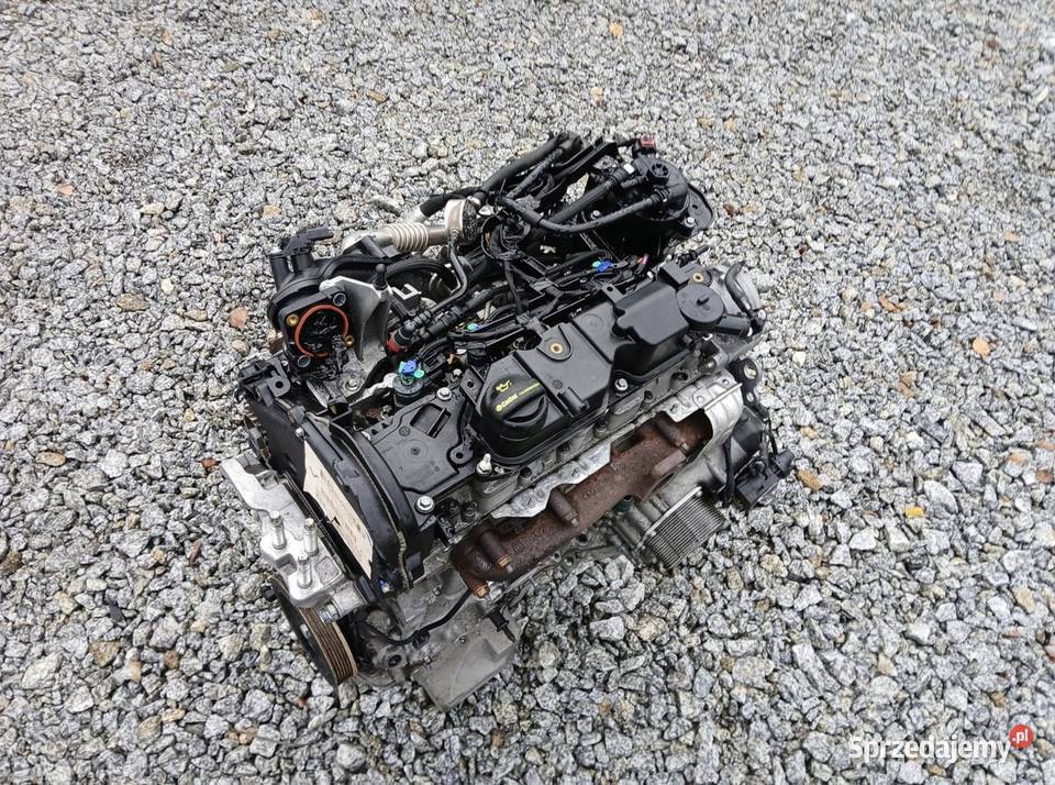 Ford Transit Connect 15 TDCI Ecoblue Silnik Rok produkcji 2019 Oleśnica