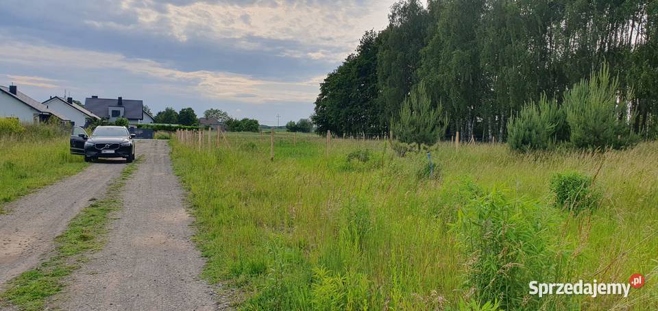 Działka lesie 695m2 budowlana Siedlec