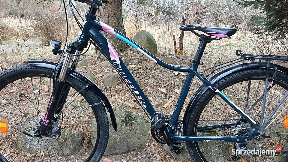 Alu Rower Górski Damski Wheeler Passera Atb 3x8 dolnośląskie Wołów