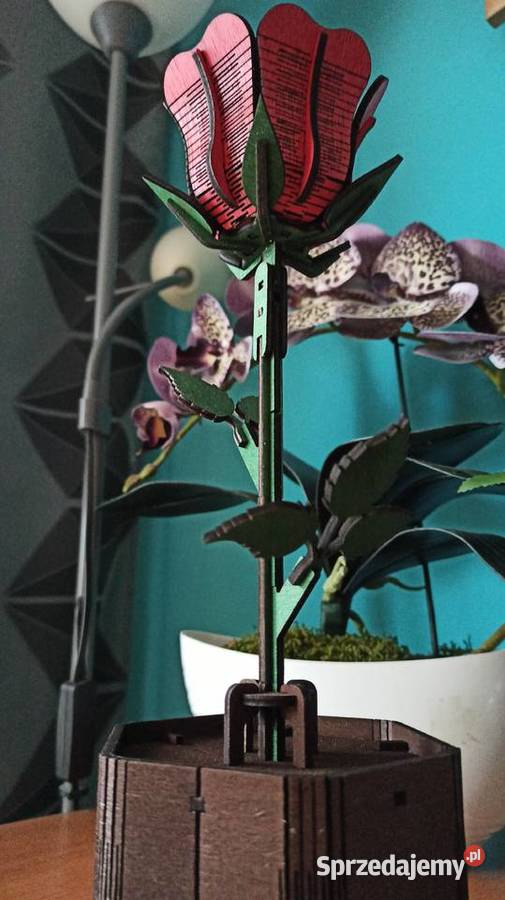 Drewniana Wieczna Róża w Doniczce Walentynki Warszawa