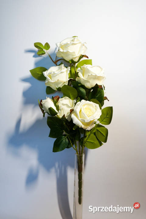 Bukiet róż w kolorze białym