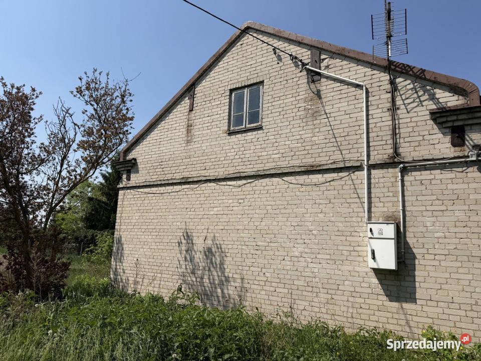 Siedlisko z lasem i łąką Zawady gm Kampinos 13zł/m2 Sprzedaż Nieruchomości