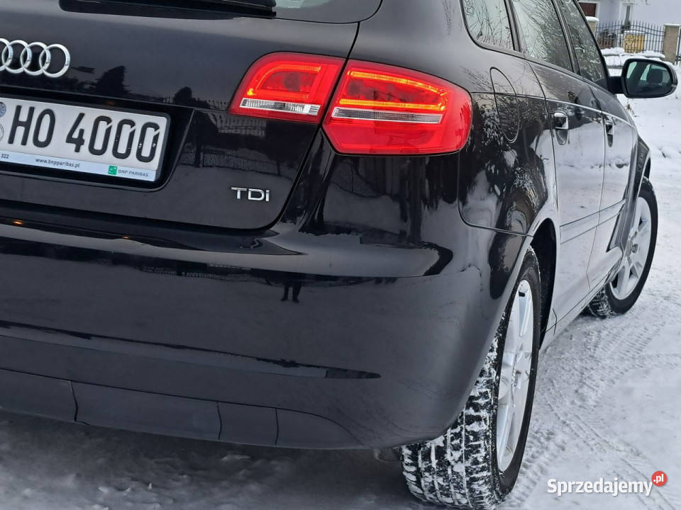 Audi A3 20 COMMON RAiL STAN KLiMAtronik halogeny Rok produkcji 2011 warmińsko-mazurskie Olsztyn