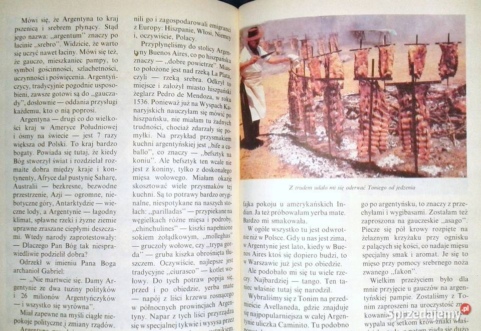 Wielkie przygody małej Patrycji Tony Halik