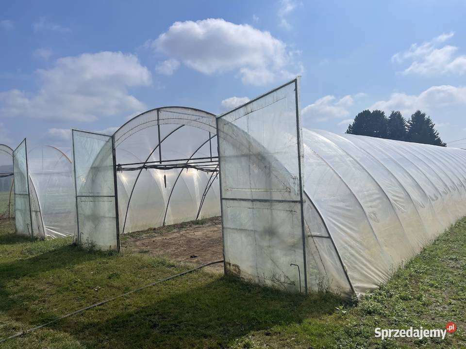 Tunel foliowy WZMACNIANY wymiary 30m x 76m x 3m