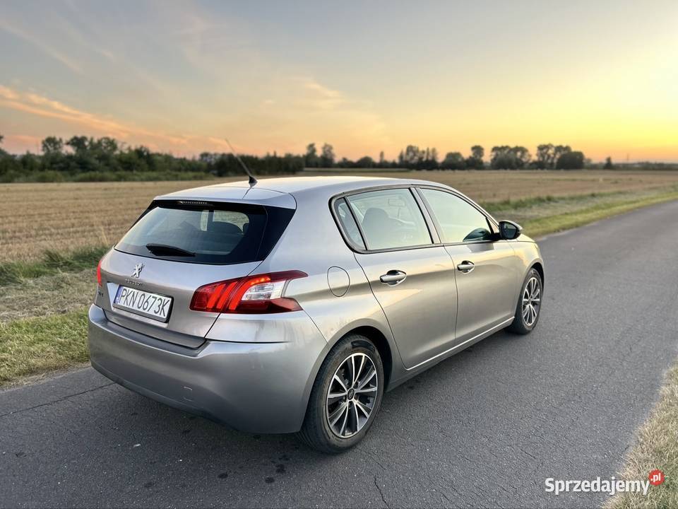 Peugeot 308 Budzisław Kościelny