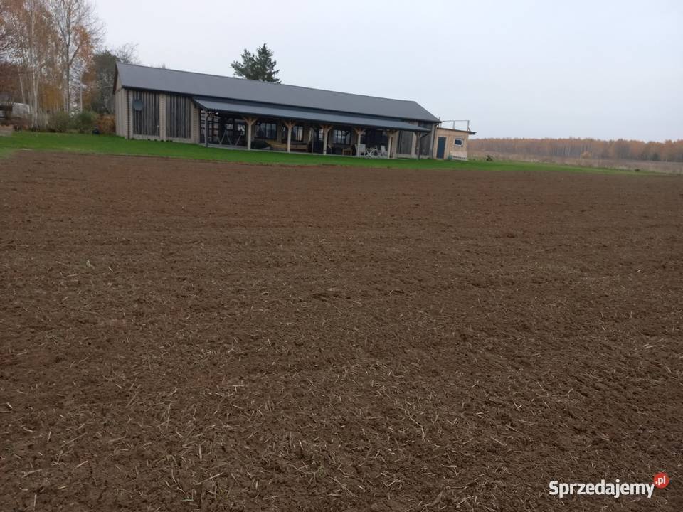 GLEBOGRYZARKA SEPARACYJNA KURÓW USŁUGI Projektowanie i zakładanie ogrodów Olesin