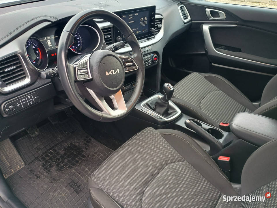 Kia Nowy Ceed 15 TGDI 160 Wersja M Salon Serwis Bełchatów