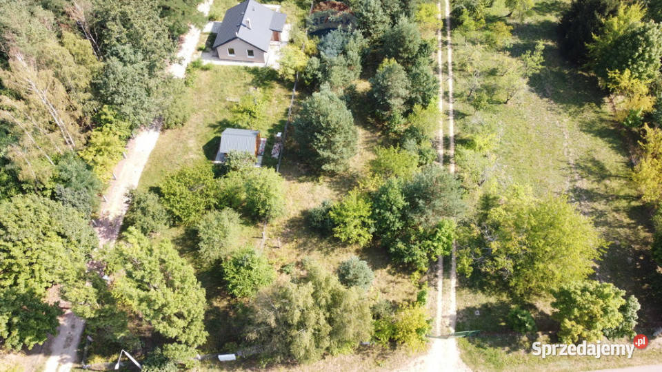 Działka budowlana 5000 m Różan Narew mazowieckie Paulinowo sprzedam