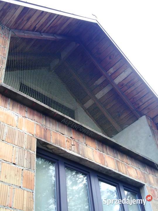 Siatka Ochronną Kota Na Balkon Montaż Przeciw