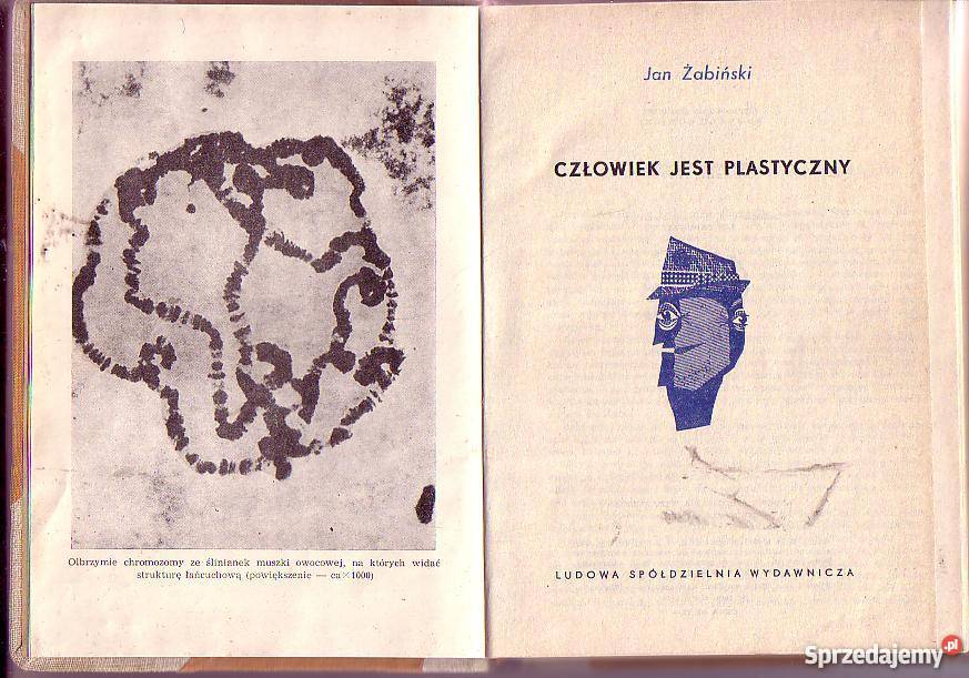 5745 CZŁOWIEK JEST PLASTYCZNY JAN ŻABIŃSKI Czyrna